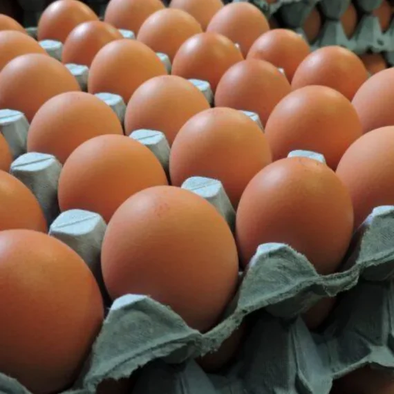 Eggs (30eggs)